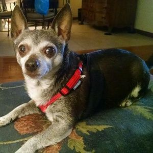 Meet your Posher, Cheryl